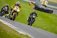 Middle 2 Group Black Bikes